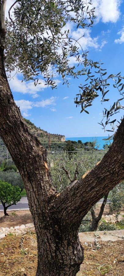 Dimora Mediterranea Mattinata Exterior photo