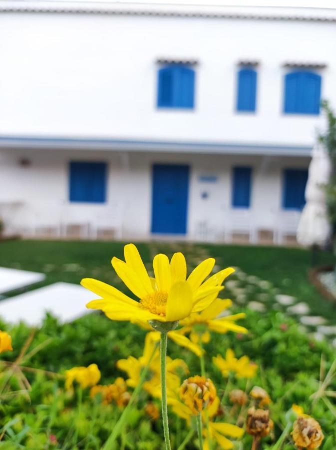 Dimora Mediterranea Mattinata Exterior photo